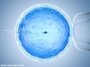 包生男孩试管机构生殖中心